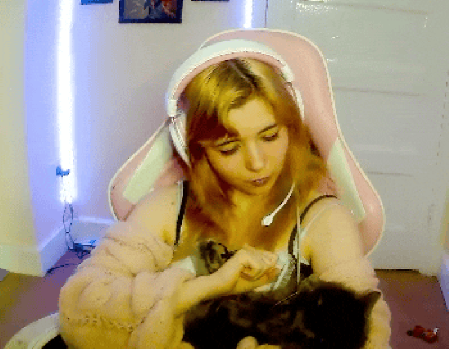 horus_boop.gif