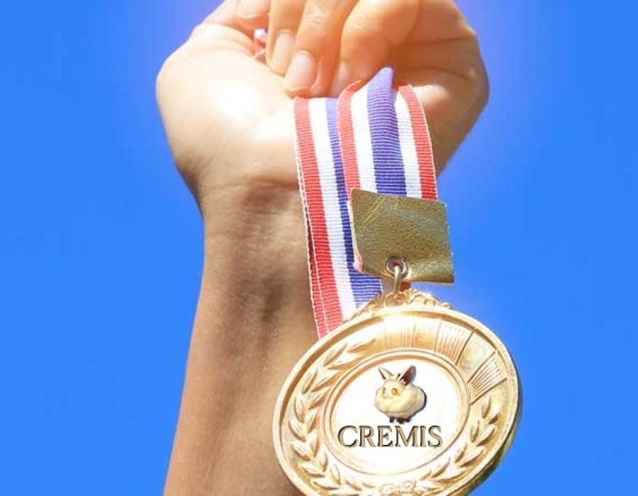 cremis_award.jpeg